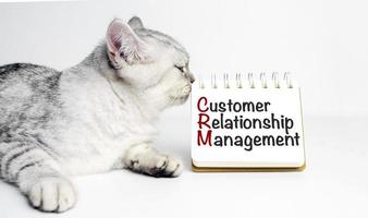 notepad with the text CRM Customer Relationship Management and grey cat photo