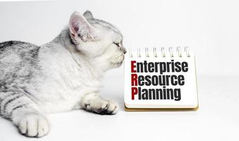 erp - enterprise resource planning words on notebook and kitten photo