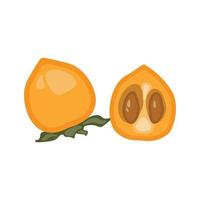 On a white background, a vector illustration of a persimmon. Tropical fruit that is juicy and exotic.