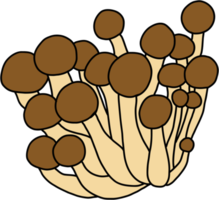 doodle freehand sketch drawing of beech mushroom vegetable. png