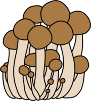 Doodle disegno a mano libera del fungo di faggio vegetale. png