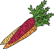 scarabocchiare a mano libera disegno di verdure di carota. png