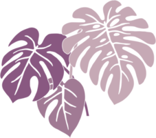 enkelhet monstera växt frihandsteckning platt design. png