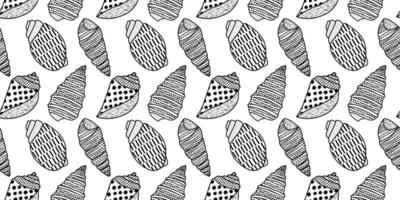 Vector seamless pattern. Line art sketch seashells. Isolated background. Decoration symbol of health calcium. Summer, sand and beach design. Repetitive ornament.