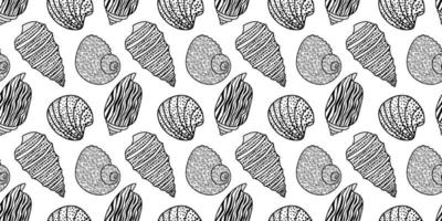 Vector seamless pattern. Line art sketch seashells. Isolated background. Decoration symbol of health calcium. Summer, sand and beach design. Repetitive ornament.
