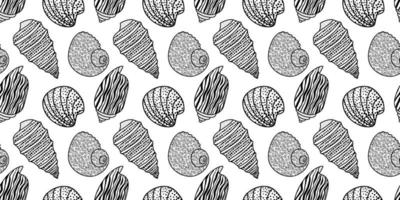 Vector seamless pattern. Line art sketch seashells. Isolated background. Decoration symbol of health calcium. Summer, sand and beach design. Repetitive ornament.