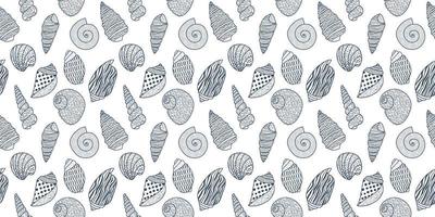 Vector seamless pattern. Line art sketch seashells. Isolated background. Decoration symbol of health calcium. Summer, sand and beach design. Repetitive ornament.