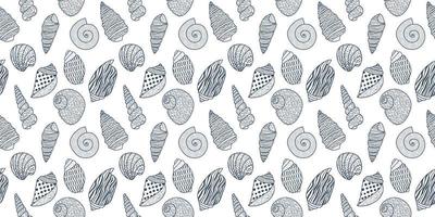 Vector seamless pattern. Line art sketch seashells. Isolated background. Decoration symbol of health calcium. Summer, sand and beach design. Repetitive ornament.