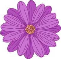doodle croquis à main levée dessin de fleur. png