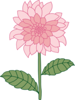 doodle desenho de esboço à mão livre de flor. png