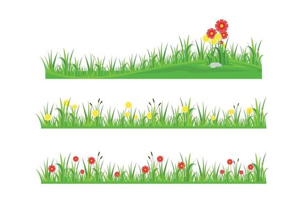 collection of grass and flowers