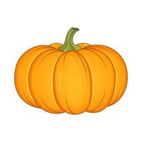 Pumpkin Vector Illustration isolated on white background