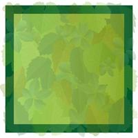 Green leaves frame background design in realistic style. Autumn leaf. Colorful vector illustration isolated on white background.
