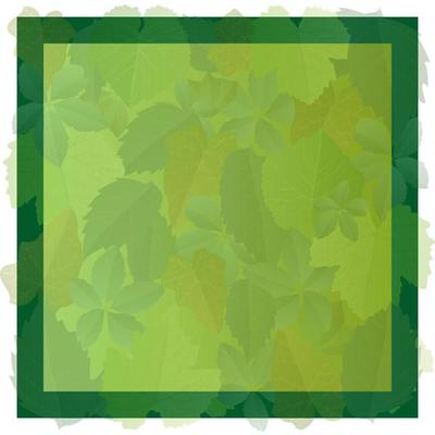 Green leaves frame background design in realistic style. Autumn leaf. Colorful vector illustration isolated on white background.