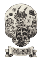 Taurus zodiac skull .Hand drawing on paper. png