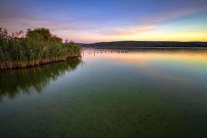 Calm lakeside at sunset with natural vegetation on the water. photo