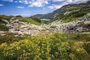 Scenic mountain landscape with yellow flowers in front, a lake, and rocks.Horizontal view photo