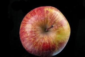 Fresh apple as a background for designers. Freshly harvested apples from an apple tree. Top view photo