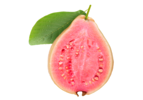 yellow cut guava fruit png