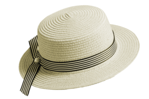 sombrero de paja de moda png