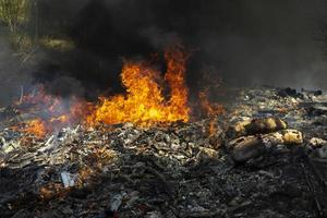 Fire and black smoke. Fire in landfill. Smoke in forest. Illegal landfill. photo