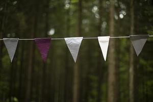 Flags on rope. Flags in row hang on string. photo