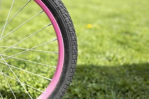 Pink rim and protector. Wheel against background of lawn. photo