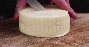 Fresh cow's milk cheese is cut on a board photo