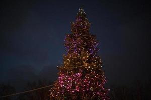 Christmas tree on street. Festive decoration for Christmas. Big spruce tree in city. photo