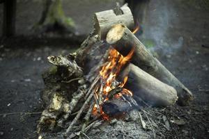 Bonfire in woods. Burning of dry branches. photo