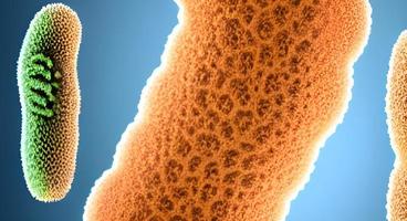 bacteria virus or germs microorganism cells. rendering photo