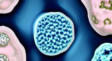 viruses and bacteria of various shapes against a blue background. Concept of science and medicine. rendering photo