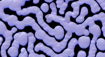 Close-up of virus cells or bacteria on light background photo