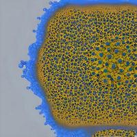 virus microscópicos realistas de varias formas en la ilustración de patrones sin fisuras de fondo borroso azul foto
