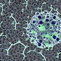 bacteria virus or germs microorganism cells. rendering photo