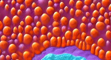 Coronavirus 2019-nCov novel coronavirus concept. Microscope virus close up. rendering. photo