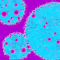 bacteria virus or germs microorganism cells. rendering photo