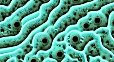 viruses and bacteria background. Concept of science and medicine. rendering photo