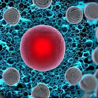 Bacteria and viruses on surface of skin, mucous membrane or intestine, model of MERS, HIV, flu, Escherichia coli, Salmonella, Klebsiella, Legionella, Mycobacterium tuberculosis, model of microbes photo