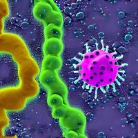 Virus, bacteria, fungi medical 3D background. Omicron, rhinovirus, HPV infection, HIV, adenovirus, influenza illness virus cells, antibody, bacteriophage photo