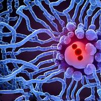 bacteria virus or germs microorganism cells. rendering photo