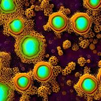 viruses and bacteria of various shapes against a blue background. Concept of science and medicine. rendering photo