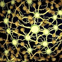 Bacteria and viruses on surface of skin, mucous membrane or intestine, model of MERS, HIV, flu, Escherichia coli, Salmonella, Klebsiella, Legionella, Mycobacterium tuberculosis, model of microbes photo