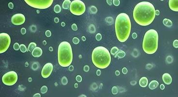 coronavirus 2019-ncov nuevo concepto de coronavirus. primer plano del virus del microscopio. representación. foto