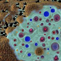 virus microscópicos realistas de varias formas en la ilustración de patrones sin fisuras de fondo borroso azul foto