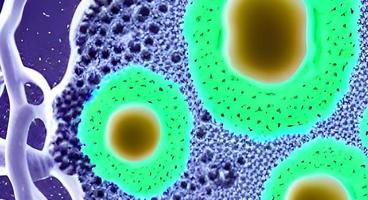 viruses and bacteria of various shapes against a white background. Concept of science and medicine. rendering photo