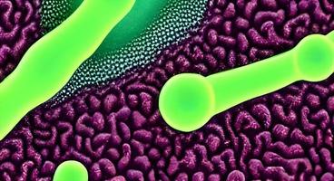 viruses and bacteria background. Concept of science and medicine. rendering photo