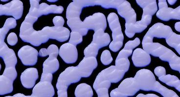 viruses and bacteria of various shapes against a blue background. Concept of science and medicine. rendering photo