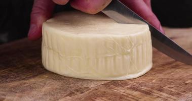 Fresh cow's milk cheese is cut on a board photo