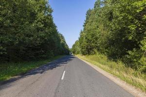 Paved road through the forest photo